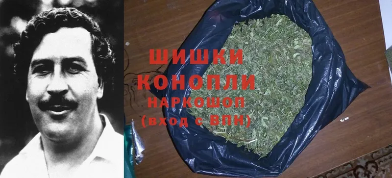 MEGA   Сорск  Каннабис OG Kush 